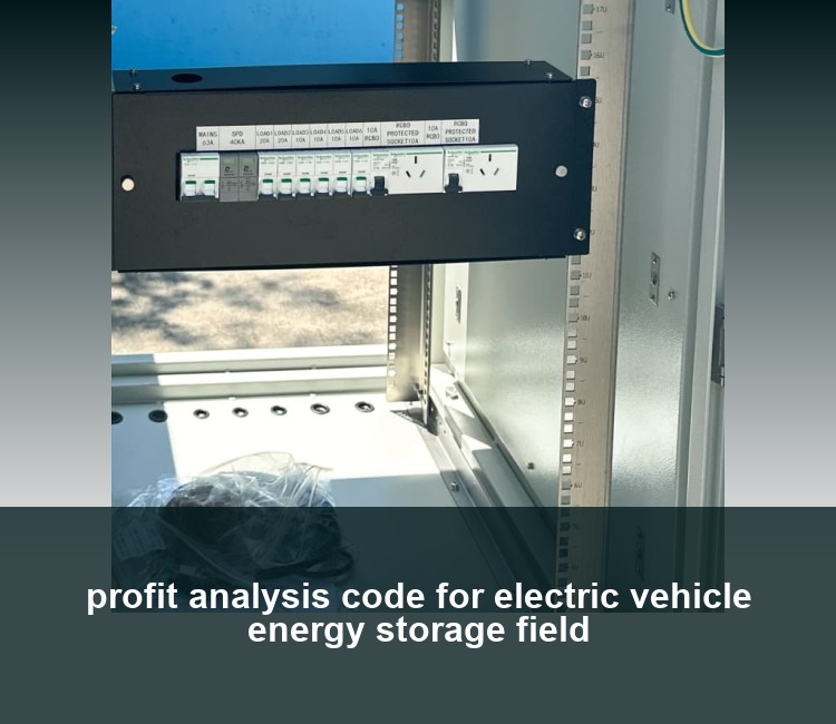 profit analysis code for electric vehicle energy storage field