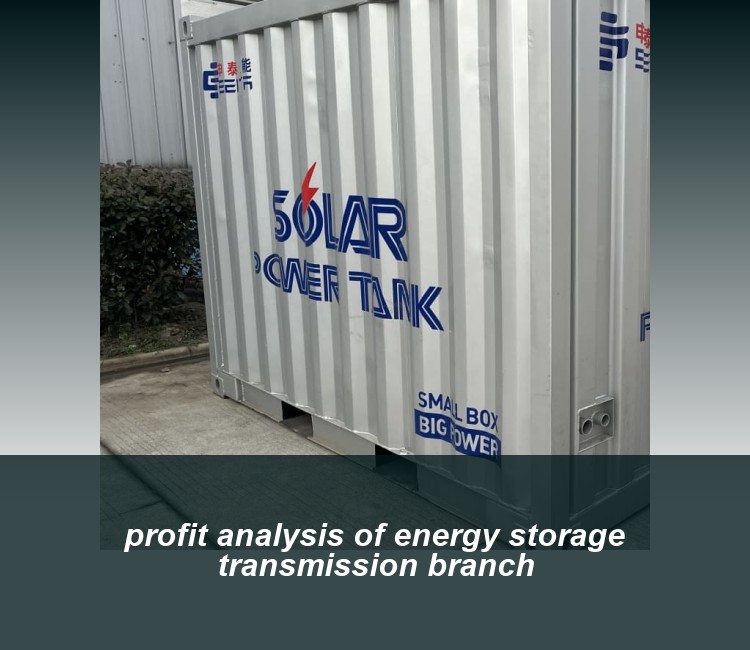 profit analysis of energy storage transmission branch