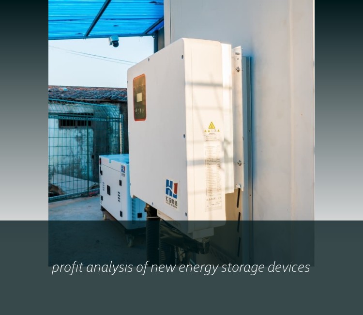 profit analysis of new energy storage devices