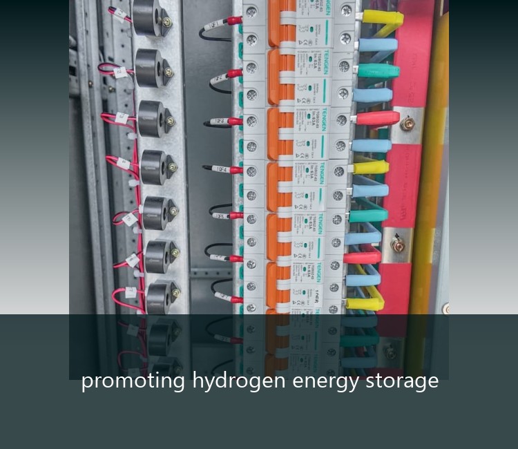 promoting hydrogen energy storage