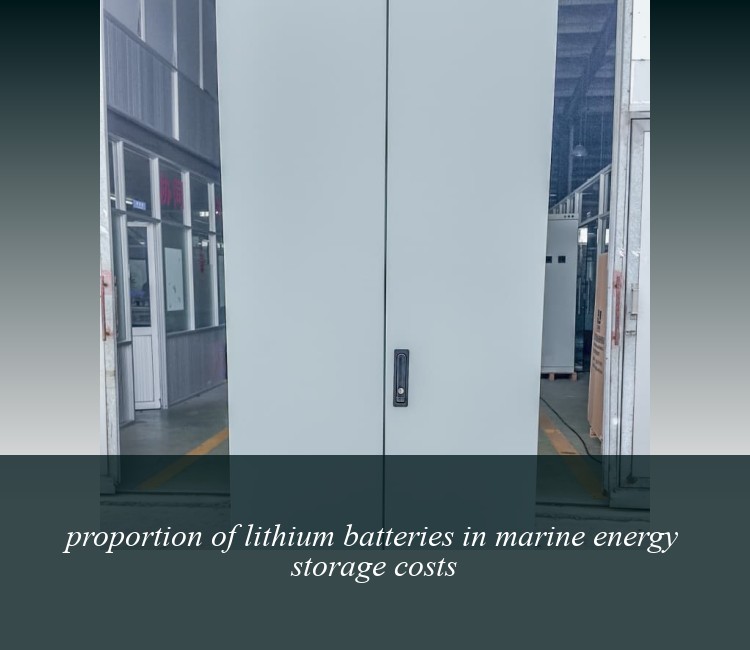 proportion of lithium batteries in marine energy storage costs