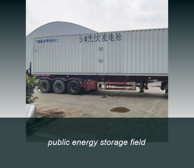 public energy storage field