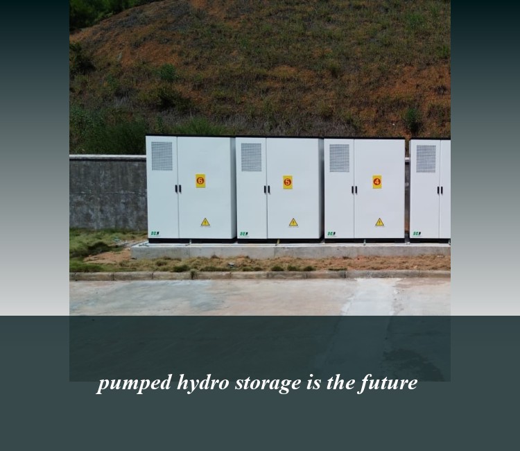 pumped hydro storage is the future