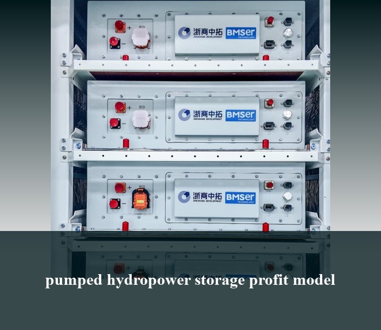 pumped hydropower storage profit model