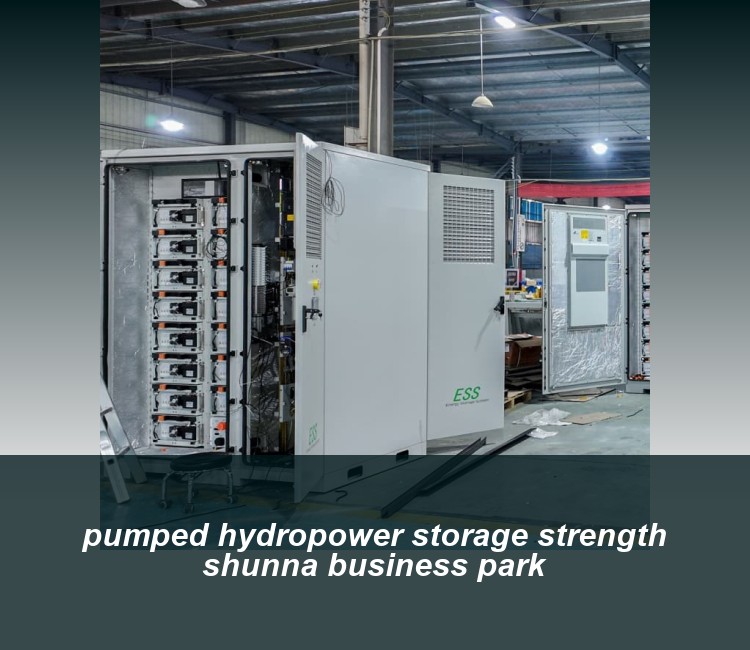 pumped hydropower storage strength shunna business park