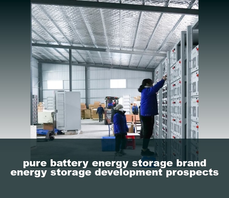 pure battery energy storage brand energy storage development prospects