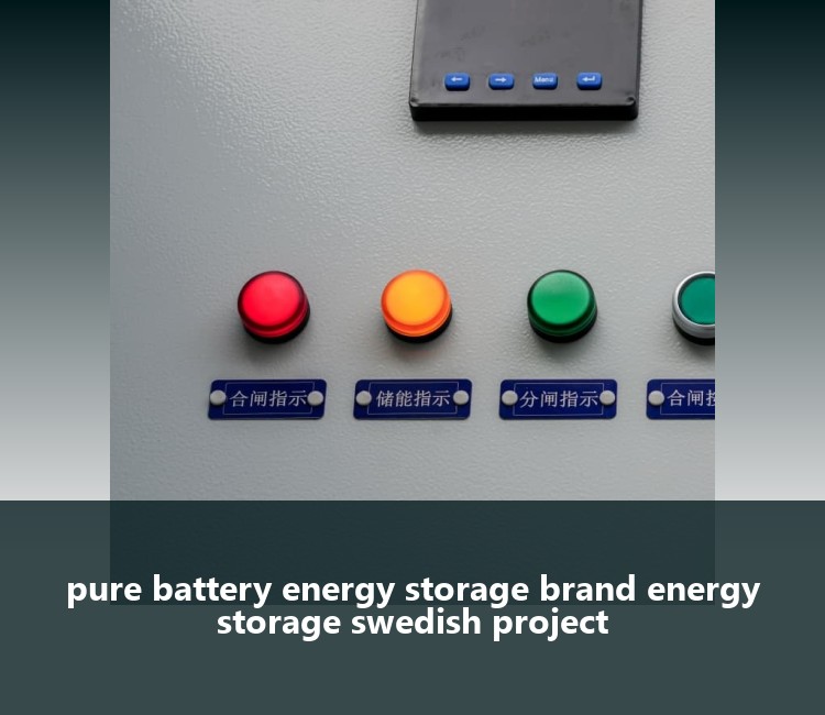 pure battery energy storage brand energy storage swedish project