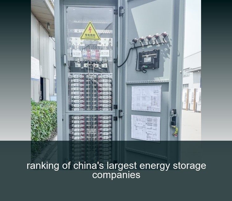 ranking of china's largest energy storage companies