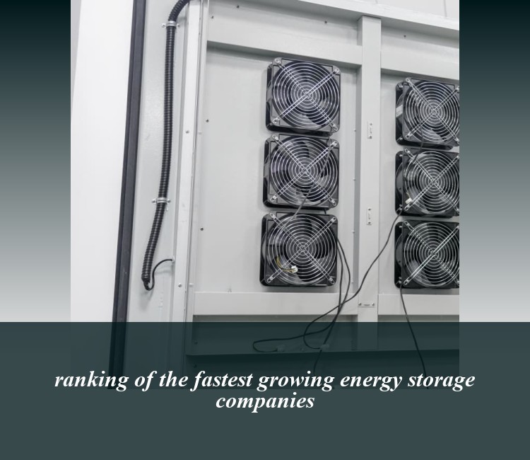 ranking of the fastest growing energy storage companies