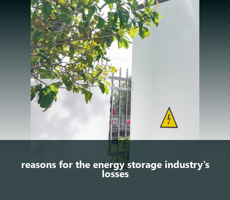 reasons for the energy storage industry's losses