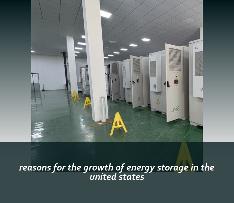 reasons for the growth of energy storage in the united states