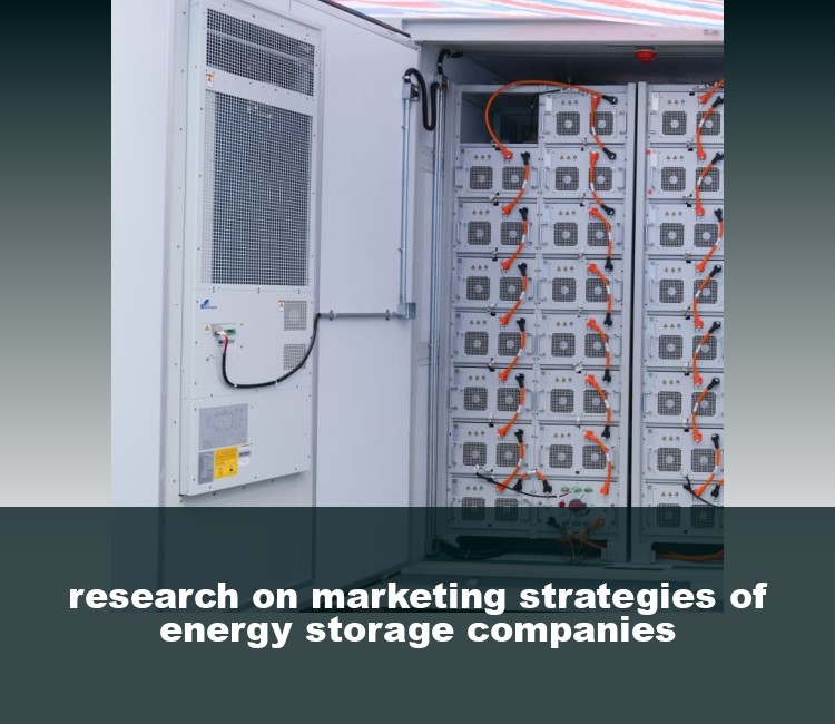 research on marketing strategies of energy storage companies