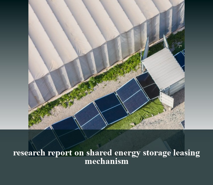 research report on shared energy storage leasing mechanism