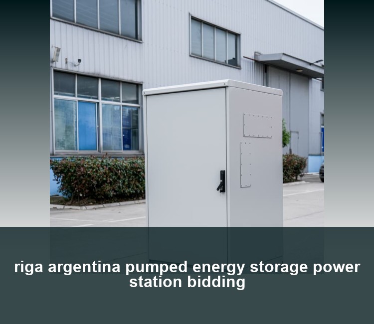 riga argentina pumped energy storage power station bidding