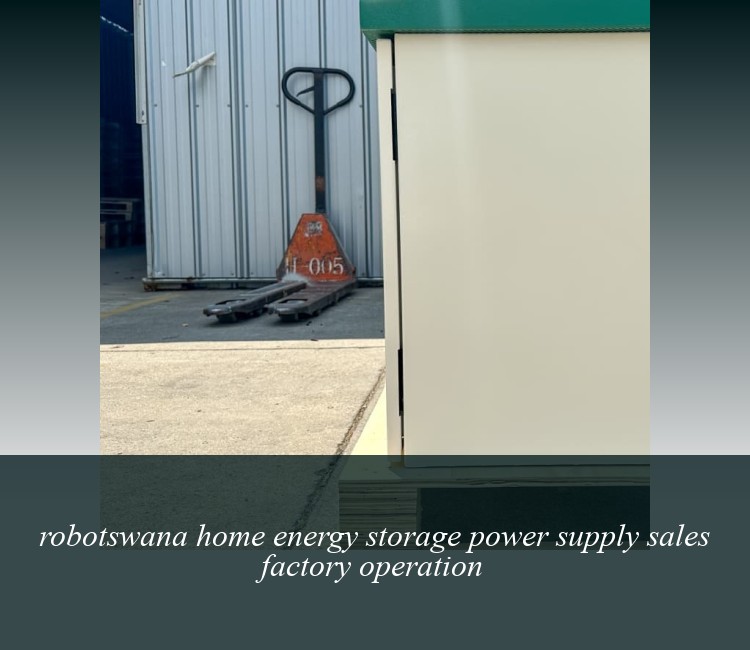 robotswana home energy storage power supply sales factory operation
