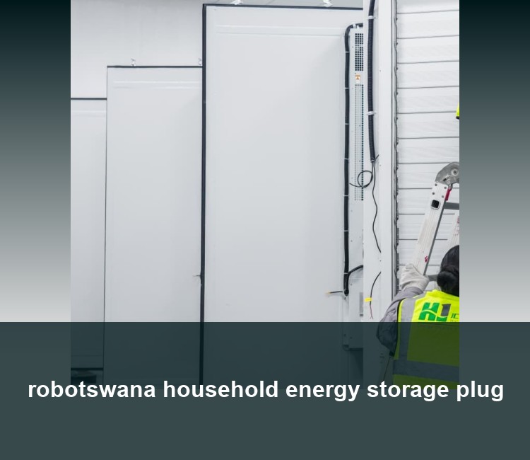 robotswana household energy storage plug