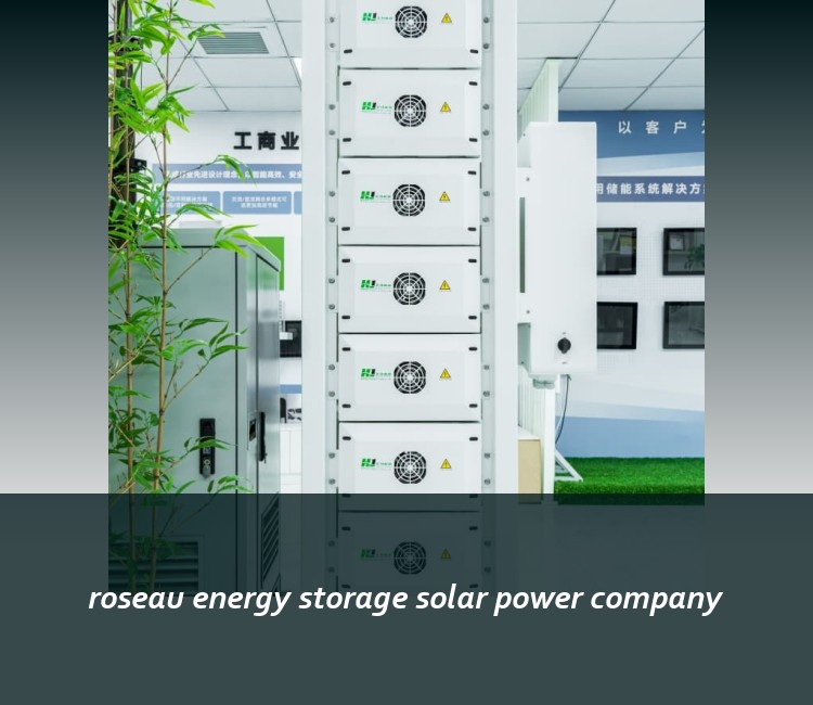 roseau energy storage solar power company