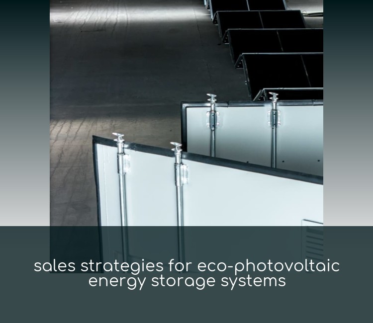 sales strategies for eco-photovoltaic energy storage systems