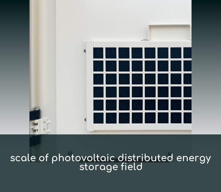 scale of photovoltaic distributed energy storage field