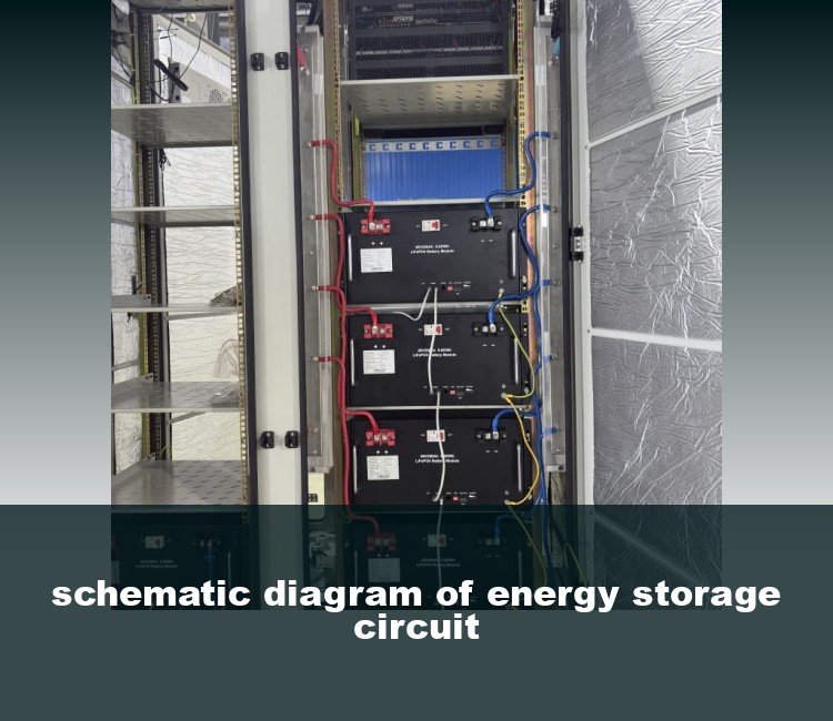 schematic diagram of energy storage circuit