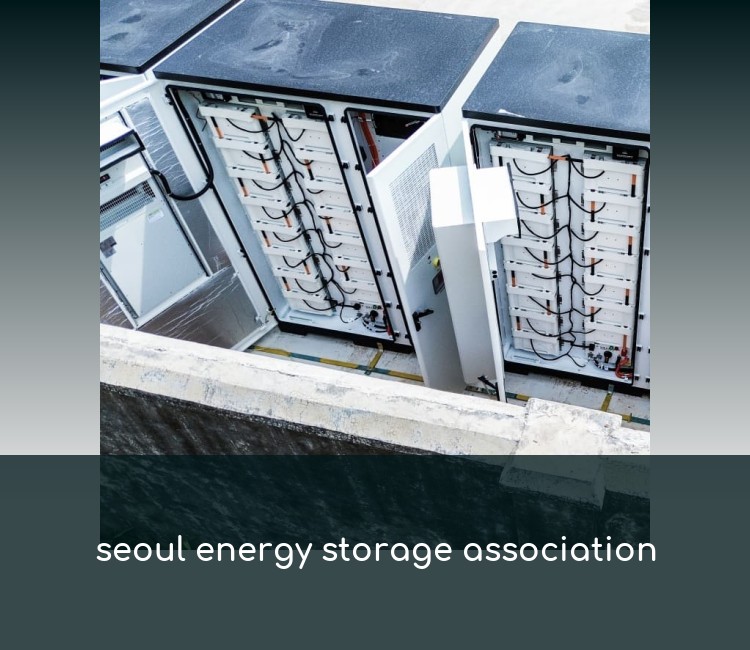 seoul energy storage association