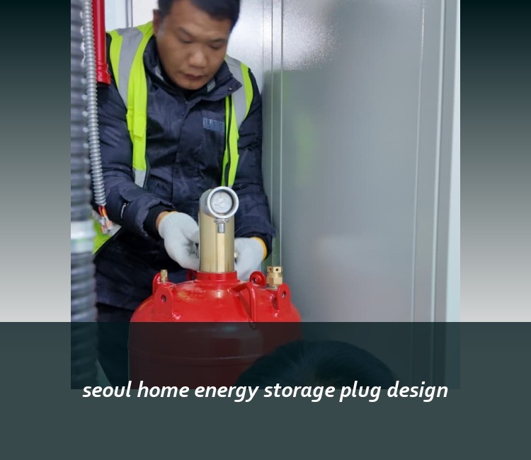 seoul home energy storage plug design