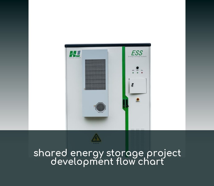 shared energy storage project development flow chart