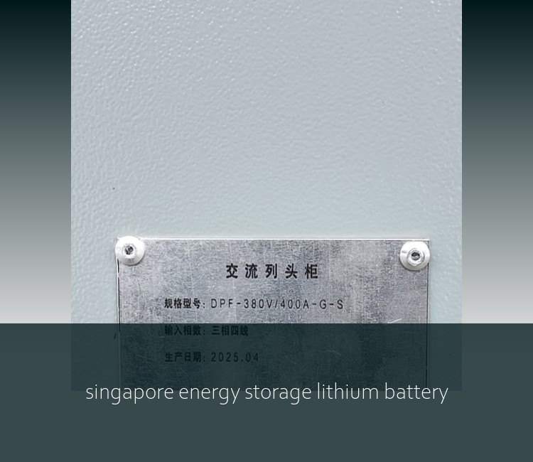 singapore energy storage lithium battery