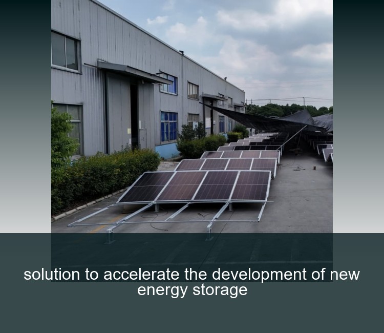 solution to accelerate the development of new energy storage