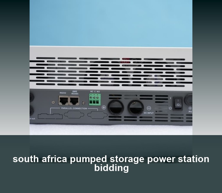 south africa pumped storage power station bidding