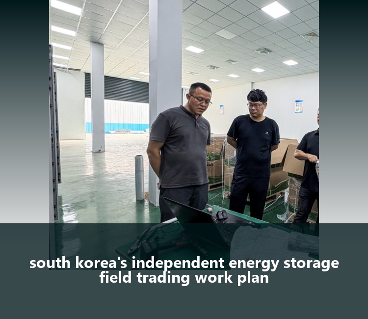 south korea's independent energy storage field trading work plan