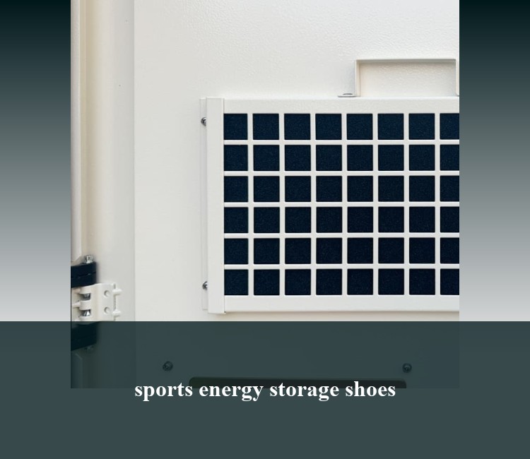 sports energy storage shoes