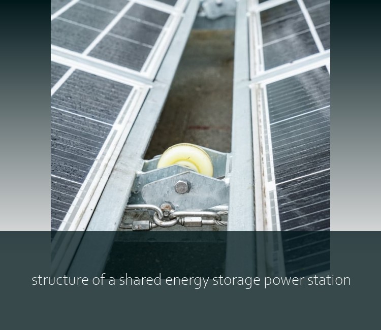 structure of a shared energy storage power station