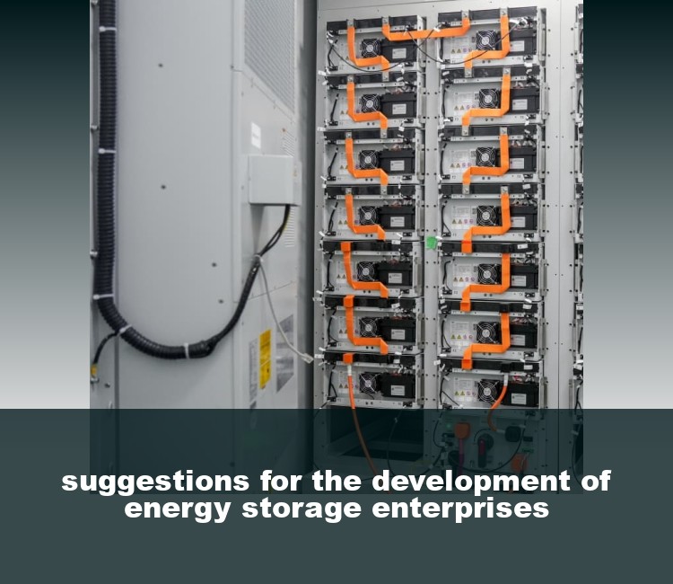 suggestions for the development of energy storage enterprises