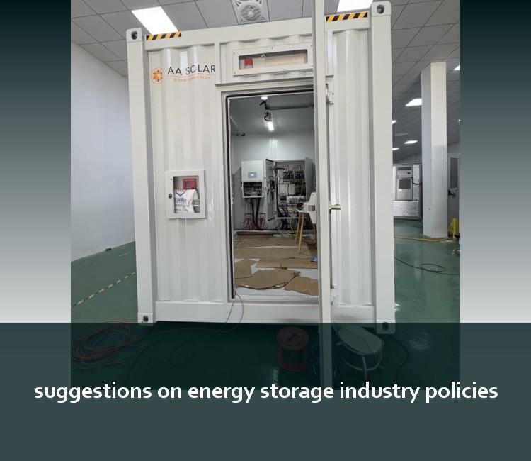suggestions on energy storage industry policies