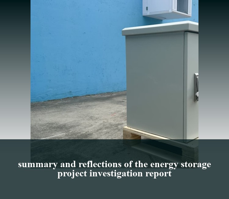 summary and reflections of the energy storage project investigation report