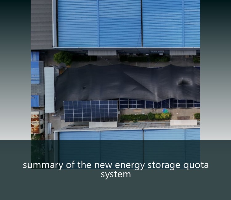 summary of the new energy storage quota system