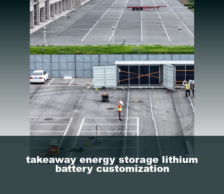 takeaway energy storage lithium battery customization