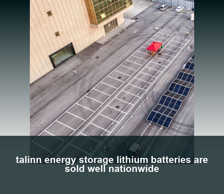 talinn energy storage lithium batteries are sold well nationwide