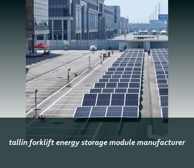 tallin forklift energy storage module manufacturer