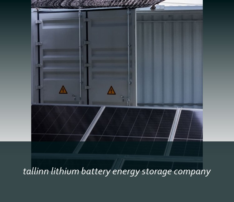 tallinn lithium battery energy storage company