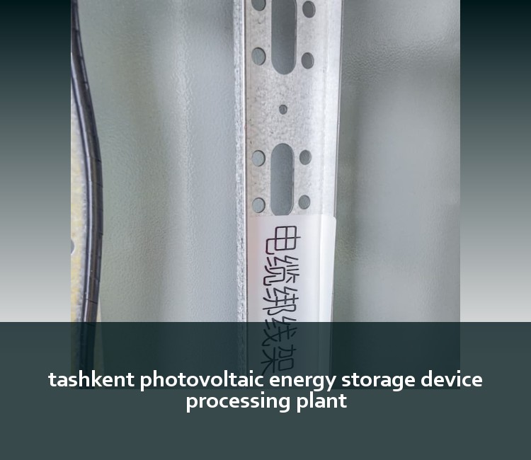 tashkent photovoltaic energy storage device processing plant