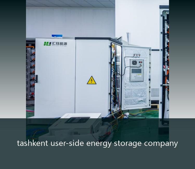 tashkent user-side energy storage company