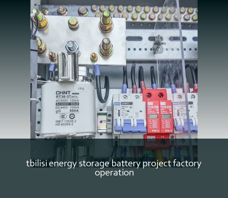 tbilisi energy storage battery project factory operation