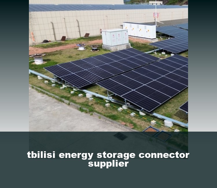 tbilisi energy storage connector supplier