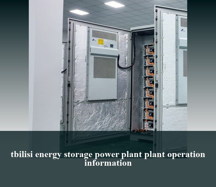 tbilisi energy storage power plant plant operation information