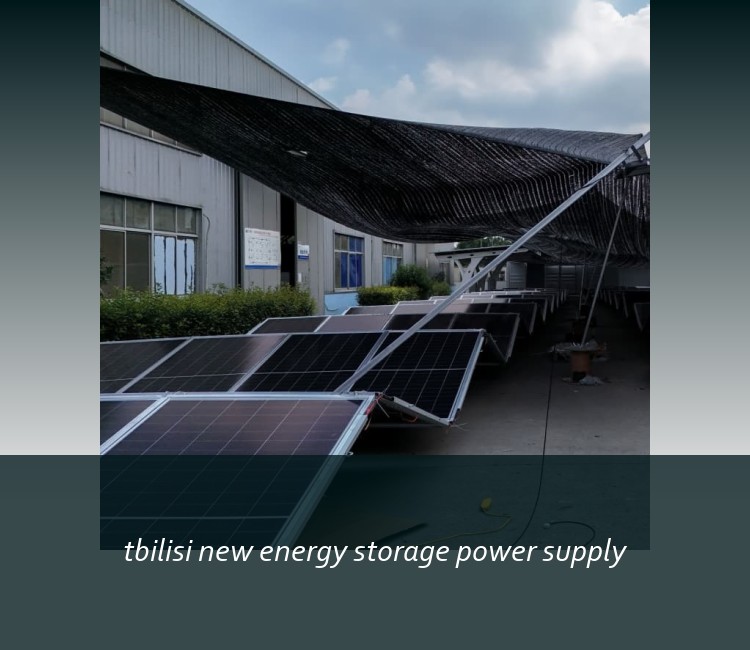 tbilisi new energy storage power supply