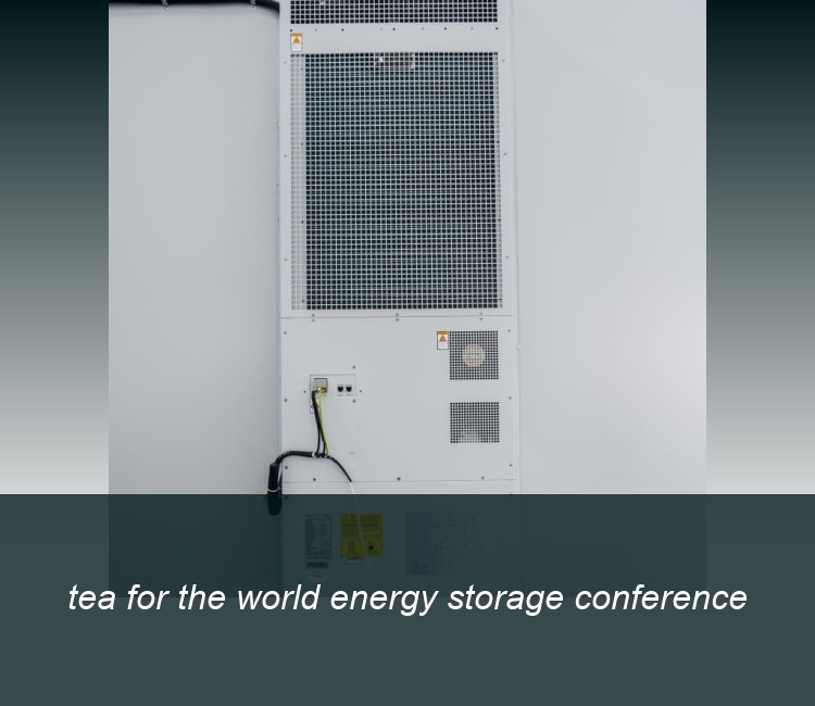 tea for the world energy storage conference
