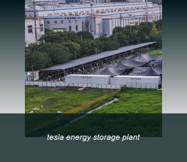 tesla energy storage plant