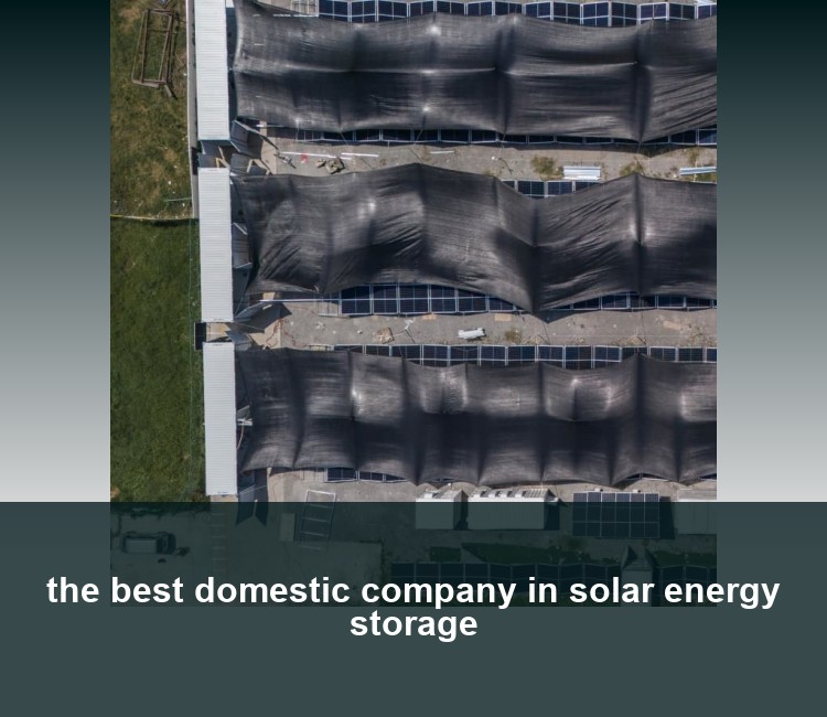 the best domestic company in solar energy storage